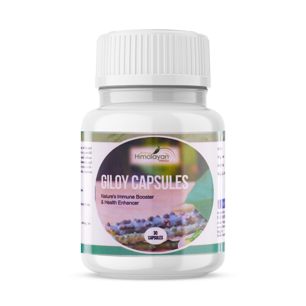 Giloy Capsule | Pure Giloy Extract | Immunity Booster, Antioxidant, Anti-inflammatory, Detoxifying Properties | 100 % Ayurvedic
